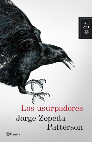 Cover of the book Los usurpadores by Berna González Harbour