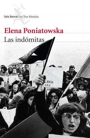 Cover of the book Las indómitas by Boris Izaguirre