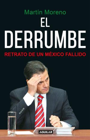 Cover of the book El derrumbe by José Gil Olmos