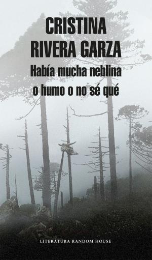 Cover of the book Había mucha neblina o humo o no sé qué by Josefina Vázquez Mota