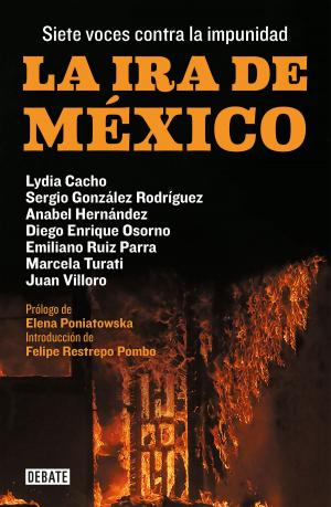Cover of the book La ira de México by Martín Solares