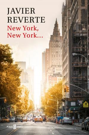 Cover of the book New York, New York... by Antonio Cabanas