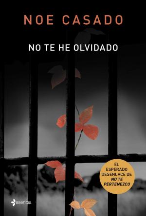 Cover of the book No te he olvidado by Daniel Orsanic