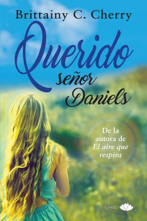 Cover of the book Querido señor Daniels by Jonathan Ames