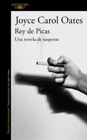Book cover of Rey de Picas