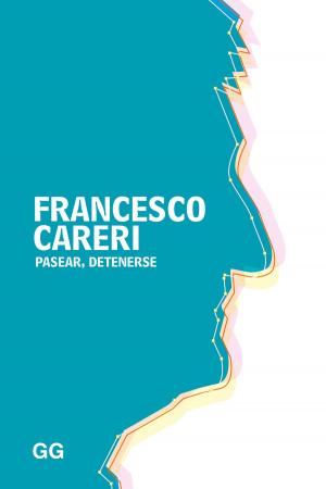 Cover of the book Pasear, detenerse by Carlos García Vázquez