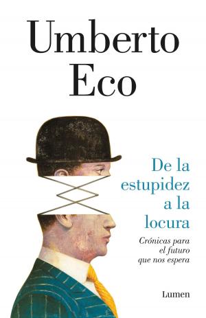 Book cover of De la estupidez a la locura
