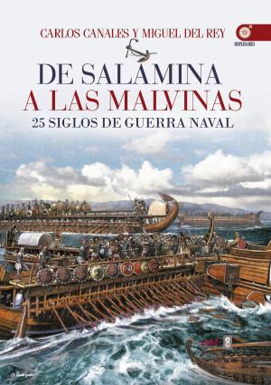 Cover of the book De Salamina a las Malvinas. 25 siglos de guerra naval by 