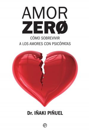 Cover of the book Amor Zero by Silvia Barquero