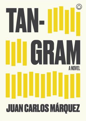 Cover of the book Tangram by Paul Stegweit