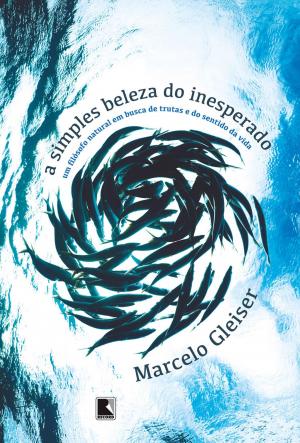 Cover of the book A simples beleza do inesperado by Raimundo Carrero