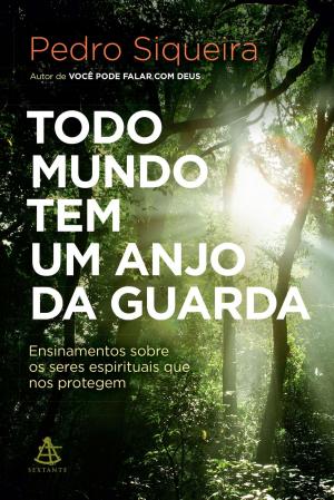 Cover of the book Todo mundo tem um anjo da guarda by Augusto Cury