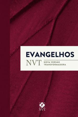Cover of the book Evangelhos - NVT (Nova Versão Transformadora) by Gary Chapman, Catherine Palmar