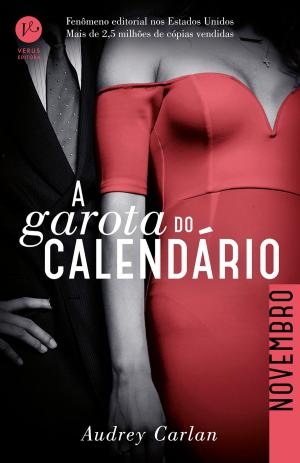 Cover of the book A garota do calendário: Novembro by Amy Harmon
