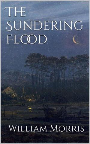 bigCover of the book The Sundering Flood by 