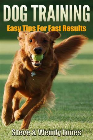 Cover of Dog Training: Easy Tips For Fast Results