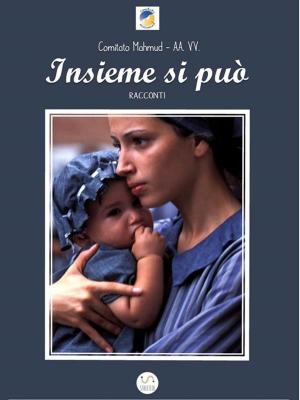 Cover of the book Insieme si può by Mia Christine