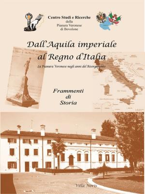 Book cover of Dall'Aquila imperiale al Regno d'Italia