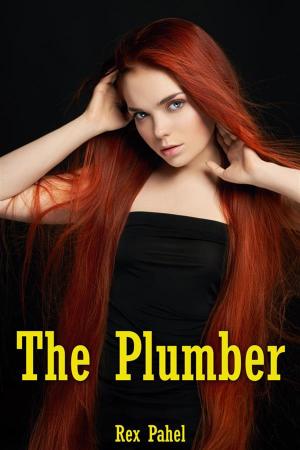 Cover of the book The Plumber by Rex Pahel