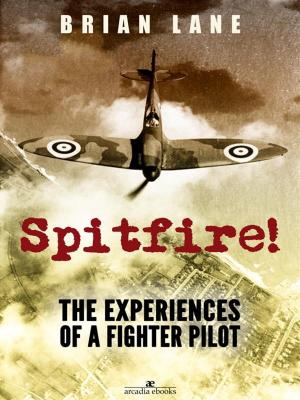 Book cover of Spitfire!: The Experiences of a Battle of Britain Fighter Pilot