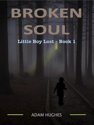 Book cover of Broken Soul