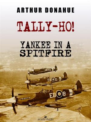 Book cover of Tally-Ho! Yankee in a Spitfire