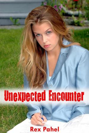 bigCover of the book Unexpected Encounter by 