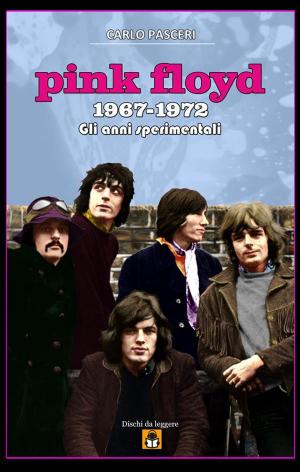 Cover of Pink Floyd 1967-1972 - Gli anni sperimentali