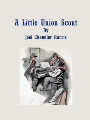 Cover of the book A Little Union Scout by Angelo D'Antonio