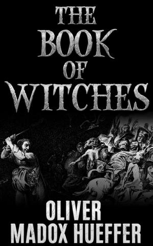 bigCover of the book The Book of Witches by 
