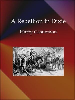 Book cover of A Rebellion in Dixie