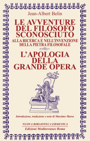 Cover of the book Le avventure del filosofo sconosciuto by Fabrizio Bucciarelli
