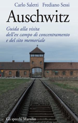 Cover of the book Auschwitz by Qiu Xiaolong