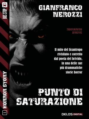 Cover of the book Punto di saturazione by Umberto Maggesi