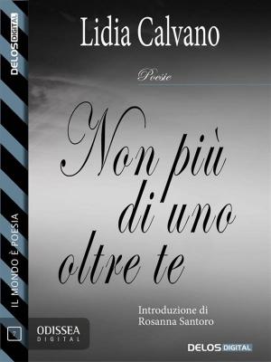 Cover of the book Non più di uno oltre te by Luca Di Gialleonardo