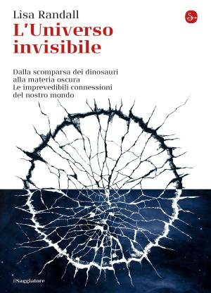 Cover of the book L’universo invisibile by Sara Goldenthal