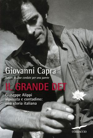 Book cover of Il grande Det