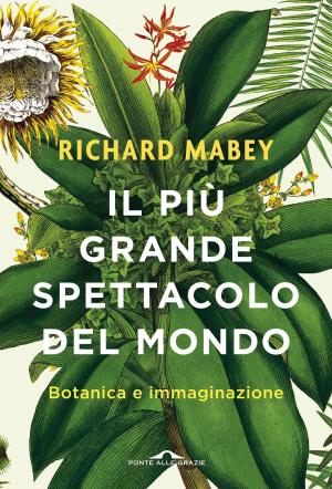 Cover of the book Il più grande spettacolo del mondo by Emanuele Trevi