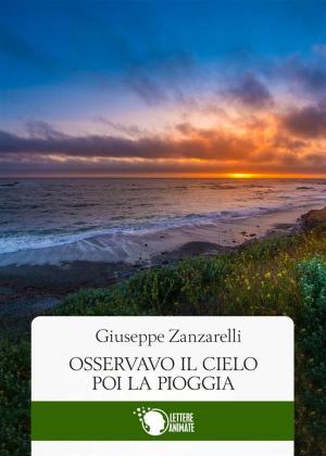 Cover of the book Osservavo il cielo, poi la pioggia by Paola Bianchi