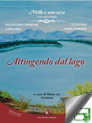 Cover of the book Mille e una sera - Volume primo by Sacchetti Giancarlo
