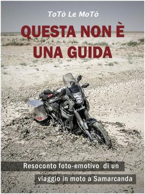 Cover of the book Questa non è una guida by Antonio Pilo García