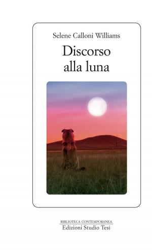 Book cover of Discorso alla Luna