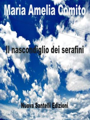 Cover of the book Il nascondiglio dei serafini by Felice Diego Licopoli