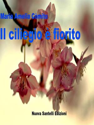 Cover of the book Il ciliegio è fiorito by Felice Diego Licopoli