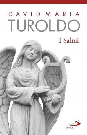 Book cover of I Salmi