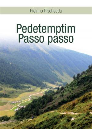 Cover of the book Pedetemptim - Passo passo by Daniele Zumbo