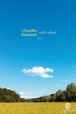 Cover of the book Cieli celesti by Manlio Cancogni