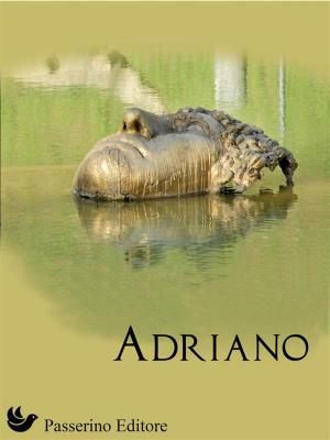 Cover of the book Adriano by Miguel de Cervantes