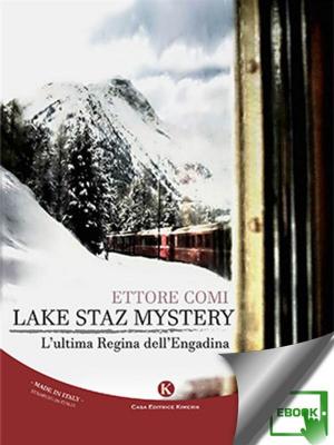 Book cover of Lake Staz Mystery