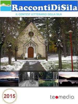 Cover of the book RaccontiDiSila 2015 by ugo amendola